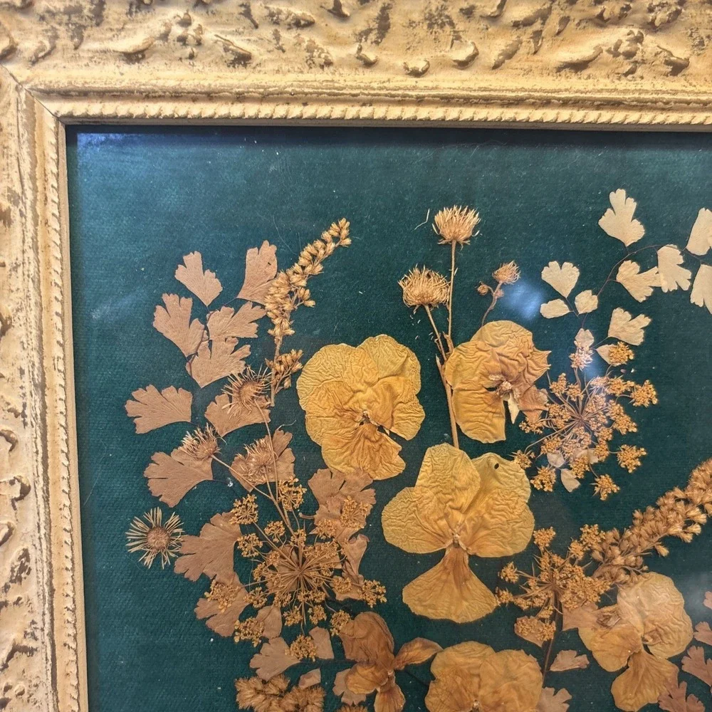 Vintage Framed Velvet Pressed Dried Flowers Wall Art Decor Original cottage Core